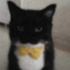 truskater125 的头像