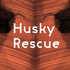 Avatar for HuskyHelsinki