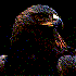 Avatar for SokolUnder