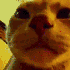 Avatar for jxyytf