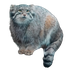 Avatar for leukocyte7
