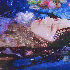 Avatar for lyfdi