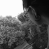 Avatar di antooou
