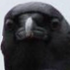Avatar for Crowconut