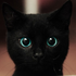 Avatar di Wolfy_mrrr