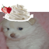 Avatar för merryboberry666
