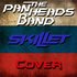 The PanHeads Band 的头像