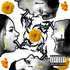 Avatar for ambermoecus