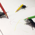 scribblingbugs 的头像