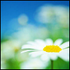 Avatar for Empathie