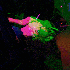 Avatar for dontsmileatme
