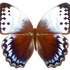 Avatar for maxmoden18