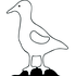 Avatar for PrestonSchool