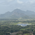 Avatar for adi_11205
