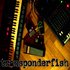 transponderfish 的头像