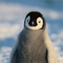 Avatar for PenguinTyper