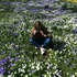 Avatar di bellaaabeee