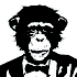 Avatar for monkeymarcmusic