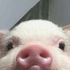 vaflis131 için avatar