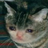 Avatar for hxjcfgkyvubhl