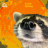 Avatar for Chlorotter