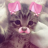 Avatar for urfavbrunette_