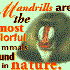 Аватар для greatmandrill