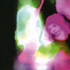 Avatar for wolters_kluwer