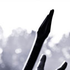 Avatar for HessamTabatabae