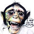 Avatar for monkey_in_5pace