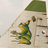 Avatar di Frogfoot9013