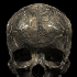 Avatar for cedro23