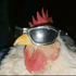 Avatar for natkkj