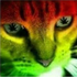Avatar for vcdelv