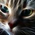 Cat_Loft 的头像