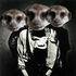 Avatar di musicmeerkat