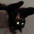 Avatar de Flashwing3899