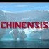 Chinensis 的头像