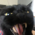 Avatar for malenayears