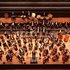 New World Orchestra için avatar