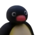 Pinguu34 için avatar