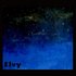 Avatar for Elvy