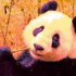 Avatar für fanta_panda