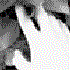 Avatar de Arkangelicus