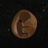 Avatar for A-S-H-E-S