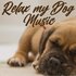 Relax My Dog Music 的头像