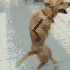 cacal0l 的头像