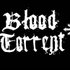 Avatar for Blood Torrent