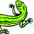 Аватар для salamander777