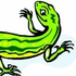 Avatar for salamander777